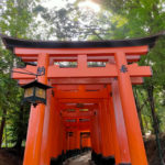 <span class="title">Trip to KYOTO: Fushimi Inari Taisha with children!How about go hiking?</span>